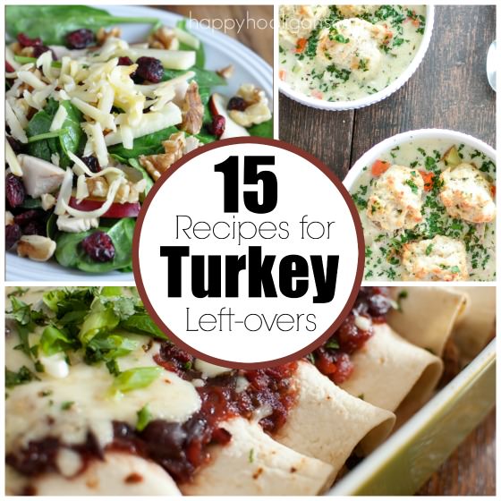 Turkey salad, turkey dumpling soup, turkey enchiladas