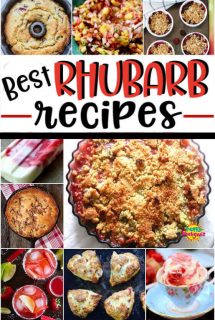 22 of the Best-Rhubarb-Recipes