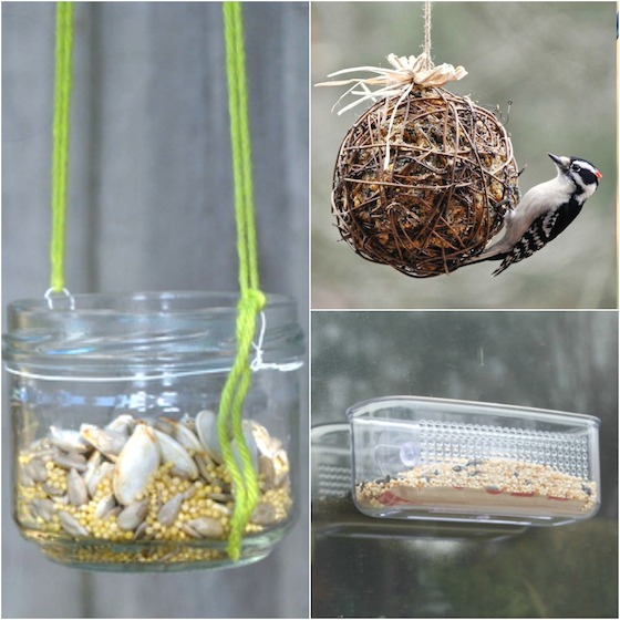 3 cool homemade bird feeders - Happy Hooligans