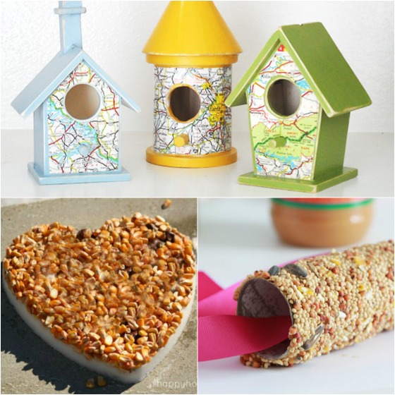 3 fun ways to make bird feeders