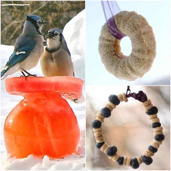 32 beautiful bird feeder crafts