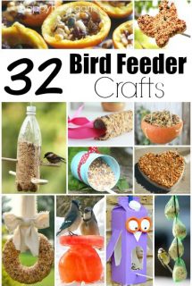 32 Easy Homemade Bird Feeders