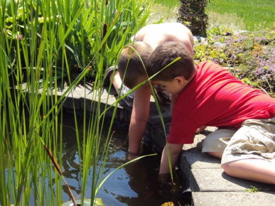 preschool boys kneeling beside pond