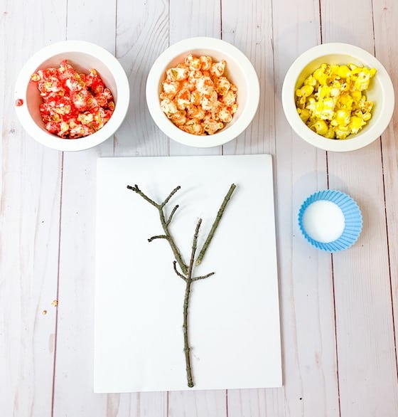 bare twig and 3 bowls coloured popcorn