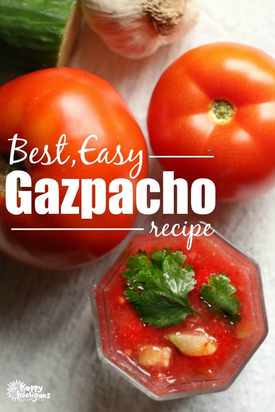 Best Easy Homemade Gazpacho Recipe - Happy Hooligans