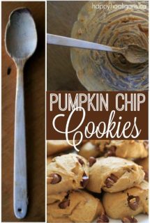 Best Pumpkin Chocolate Chip Cookie Recipe