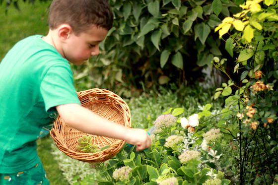 Child cutting leaf from garden