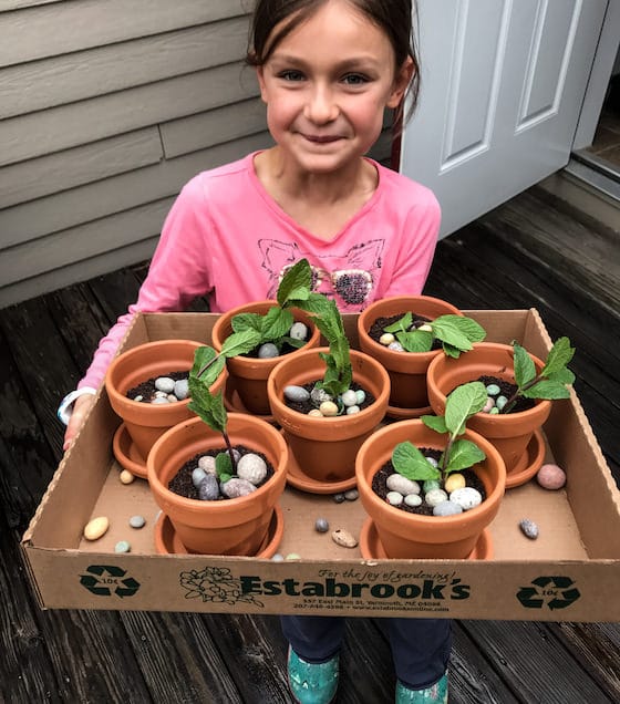 child holding tray of brownie flowerpot cakes