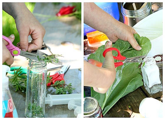 children cutting up leaves and putting them in jars to make perfume