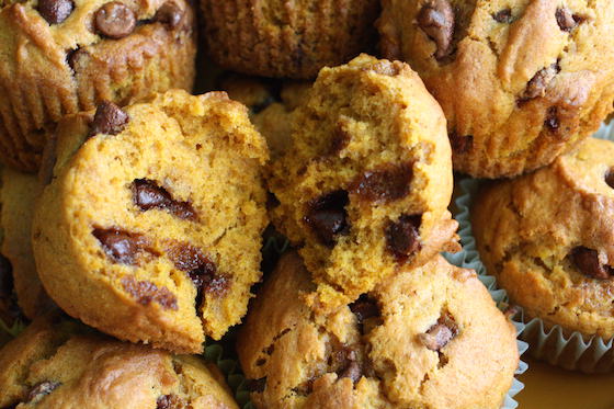 Chocolate Chip Pumpkin Muffins