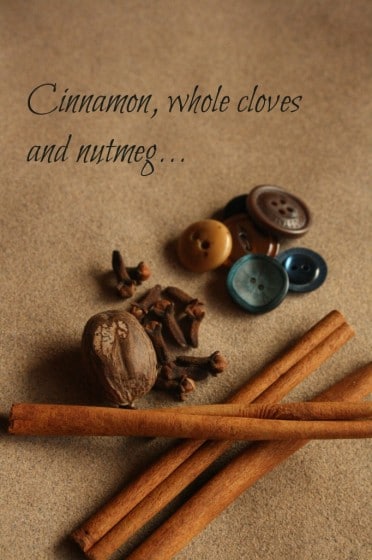 cinnamon sticks, cloves, nutmeg and buttons displayed on a piece of sandpaper