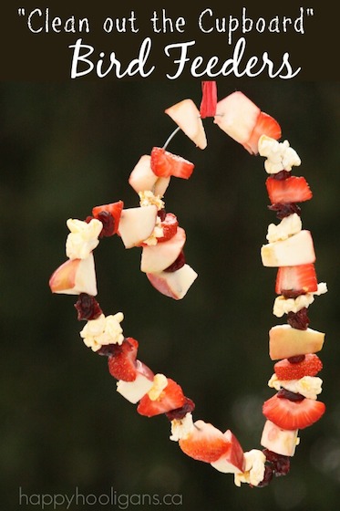 Homemade bird feeder with fruit scraps and popcorn 