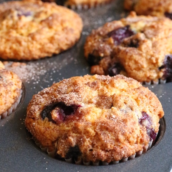 Closeup blueberry-oatmeal muffins in muffin pan 
