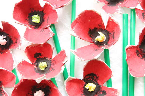 Egg Carton Poppy Craft Horizontal