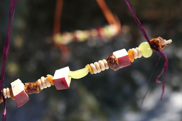 horizontal close up fruit/cheerio feeder