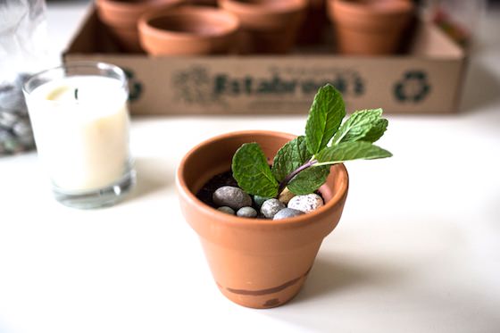 small clay flowerpot filled with brownie, mousse, candy rocks, gummy worms and sprig of mint