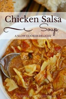 Slow Cooker Chicken Salsa Soup