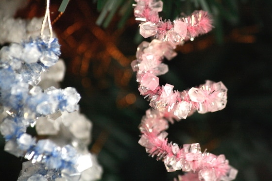 crystallized pipe cleaner ornaments