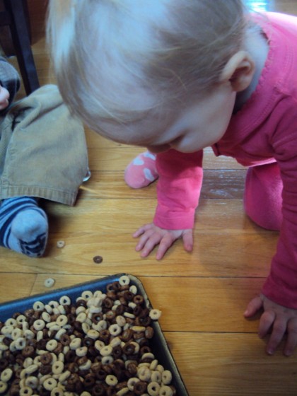 toddler looking at tray of cheerios