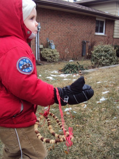 toddler boy carrying cheerio feeder to tree