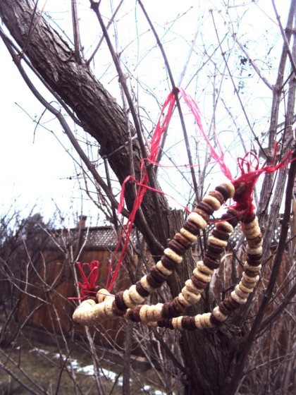 cheerio bird feeder hanging in tree