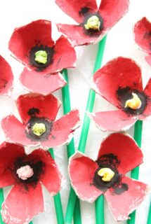 Egg Carton Poppies Feature Img