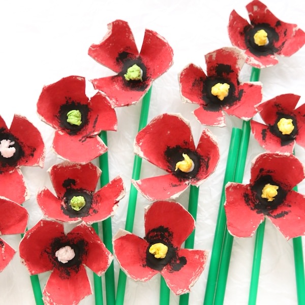 square image egg carton poppies