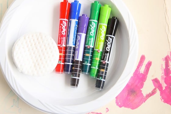 Expo Markers with Plastic Plates and Makeup Pad Eraser