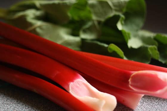 5 stalks of fresh rhubarb