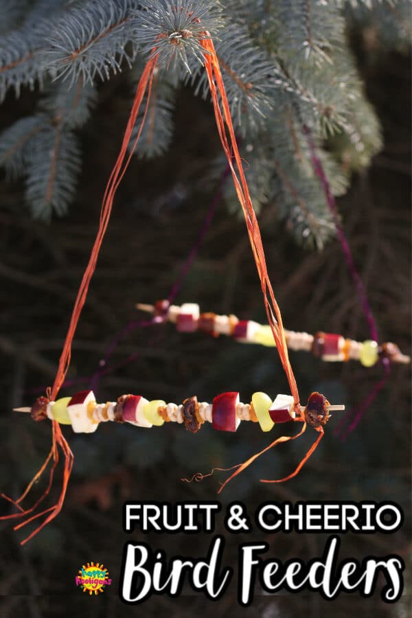 Fruit and Cheerio Bird Feeder hanging from tree