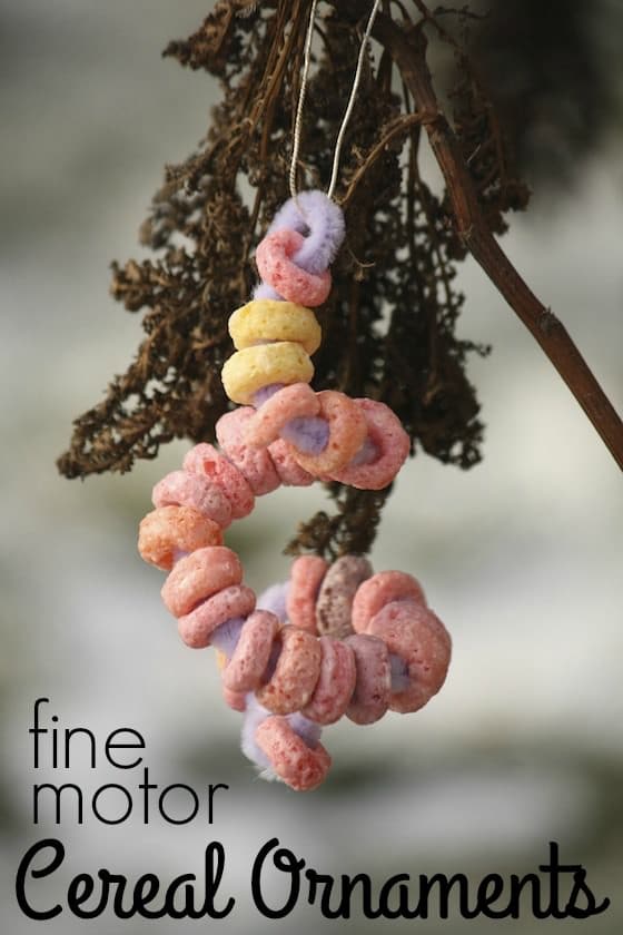 Fruit Loops bird feeder ornament in garden 