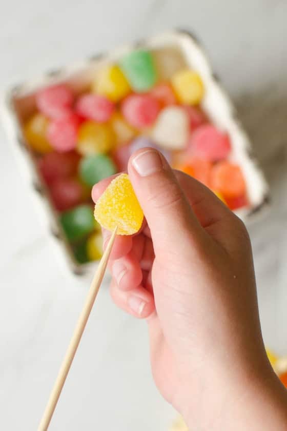 gumdrop on wooden skewer