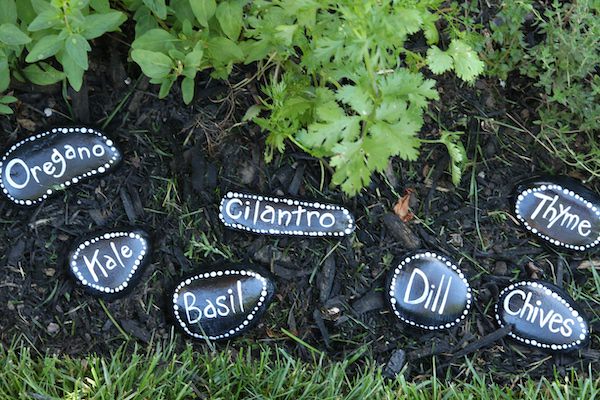 7 painted herb markers in herb garden