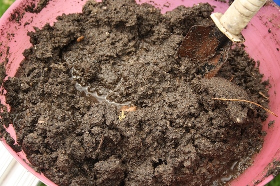 bowl of play mud made with sand, potting soil and water