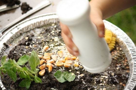 child shaking shaker bottle of oatmeal onto mud pie