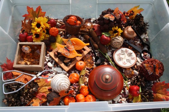 overview of autumn sensory bin