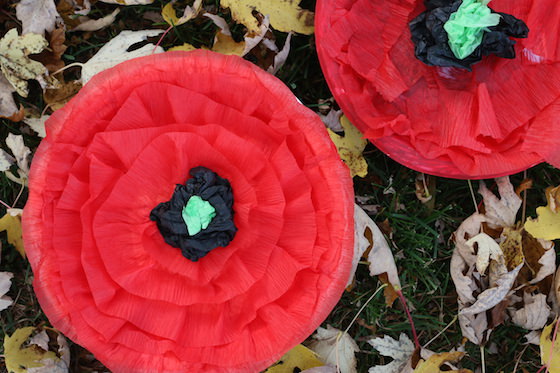 2 crepe paper poppies displayed in fall leaves