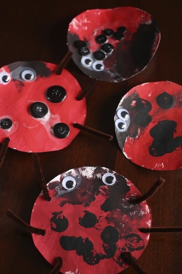 paper plate lady bugs stamped with corks