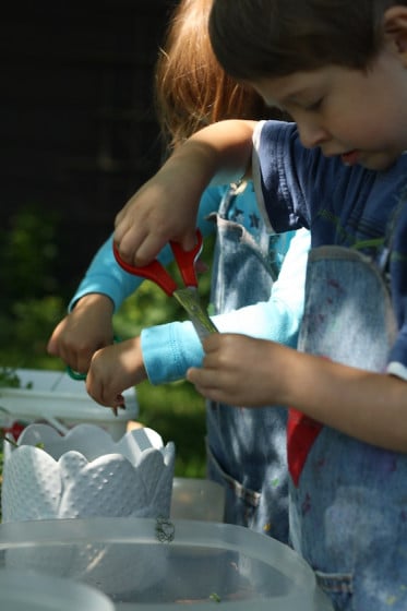 Sensory Soup - exploring fresh herbs and flowers