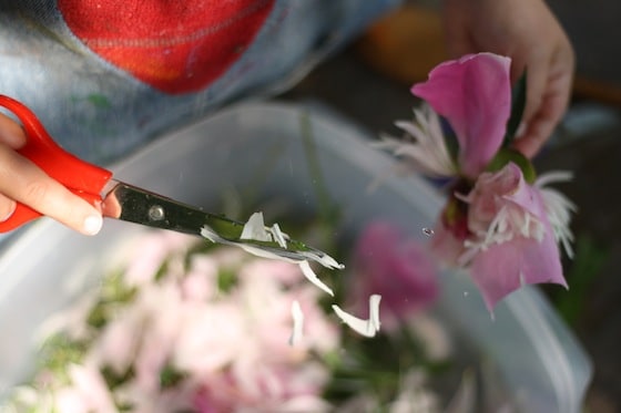 chopping up peonies for Sensory Soup