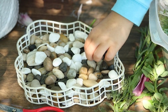 Adding stones and shells to herbs and flowers for Sensory Soup