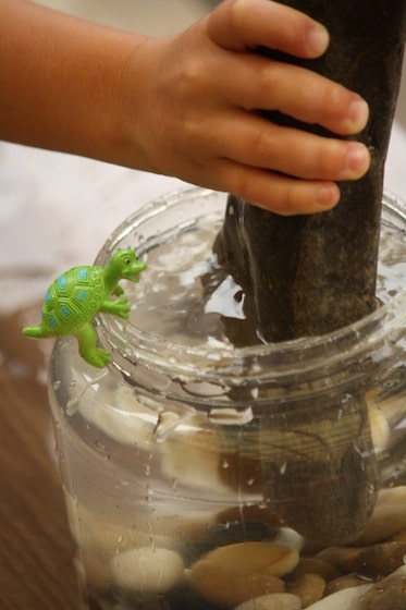 child adding large stone to container of water to raise water level