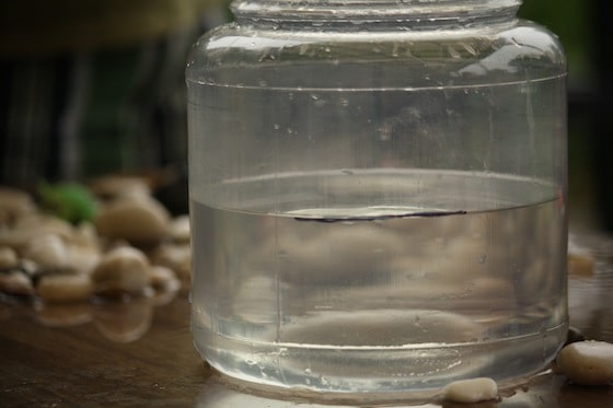 water in container with waterline marked