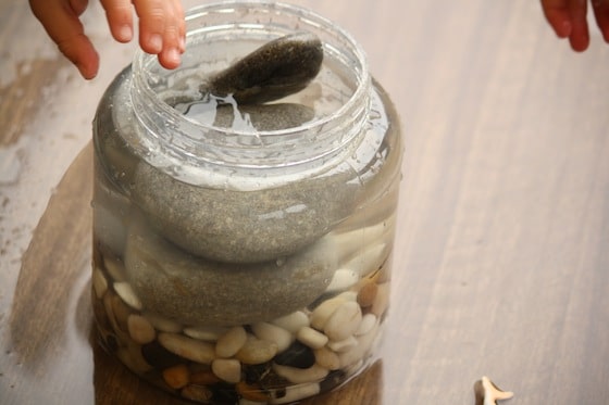 jar filled with rocks and water to observe water displacement