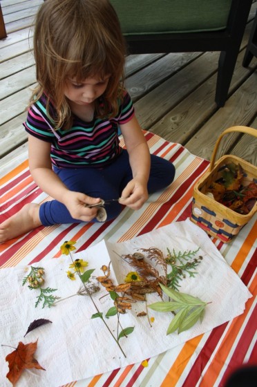 toddler examining leaves and plants collected on nature walk