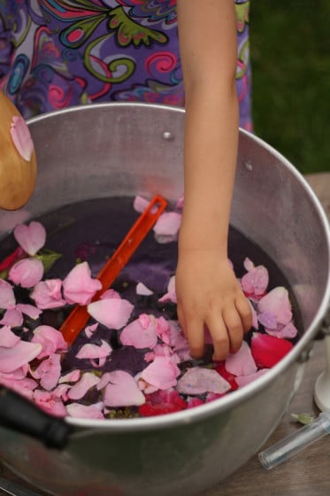 adding roses to the fairy soup