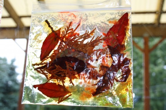 ziplock bag filled with hair gel and fall leaves