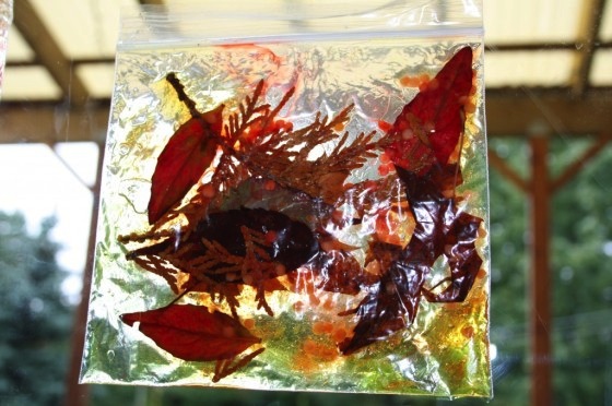 fall leaf, hair gel sun catchers