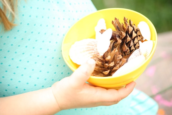 pinecones and stones in a bowl