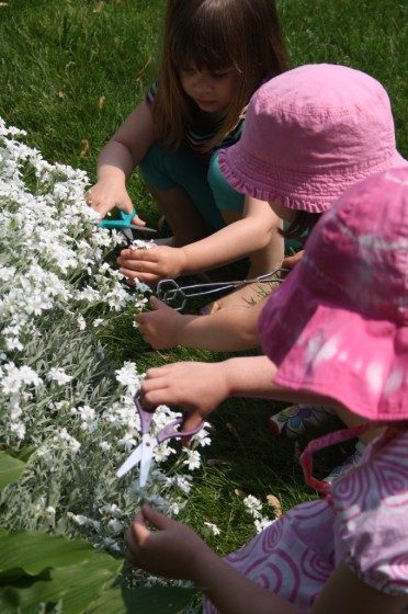 toddlers cutting flowers in garden